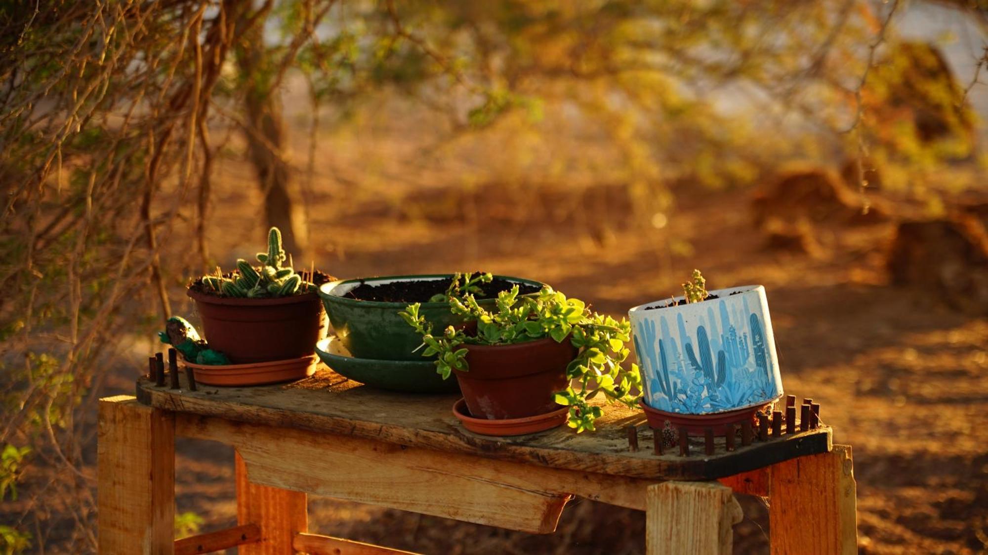El Huarango Eco Retreat Villa La Huaica ภายนอก รูปภาพ